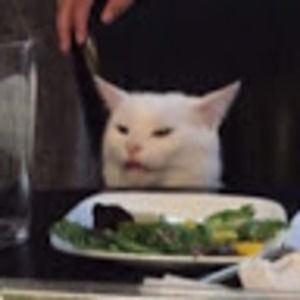 Meet your Posher, Ivy